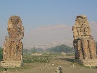 �������  �������