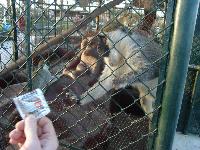 ���������������!