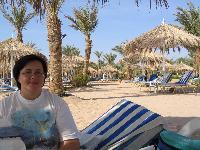 Hilton Dreams Resort 5&*& Hilton Fayrouz