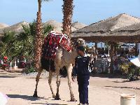 ����� �� ������