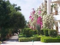 900 ������ 