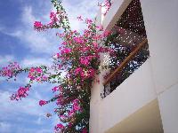 ��� ������� ����� ����� ������