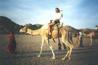 ��������� � ��������