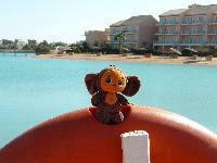 ���� � Movenpick