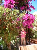 ���� � �����