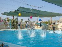 ����������� ��� �������� �����