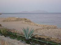 �������� ��� �� �.�����