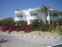  �������������� ���