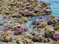 ������� �� ����� ������