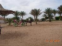 ������ �� �����