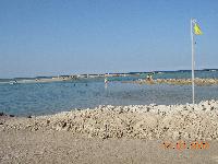 ������ �� ������