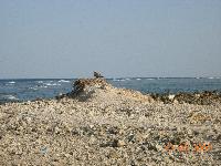 �����, ������� �� ���������� �����������