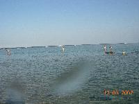 ����� ����� �� �������