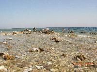 ���� �� �������