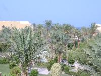 ��� �� ���