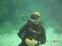 ������ �������