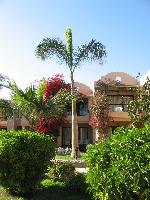 ��� ���� 