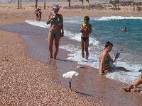 �� ����� �����