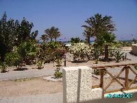 ��� �� ����