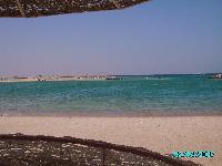 ���� �� ���� �����