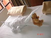 ...���, ��� � ���...