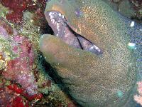 "����������������� ������"