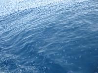 ��-��-��