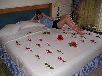 ������-����