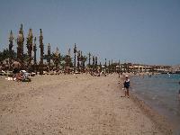 ����-������ ��� ������2007