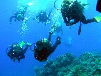 ��� ����� ������ ��������� ...