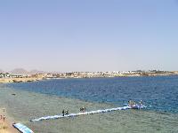 ������ - ���� ����� ��� ����� ������.