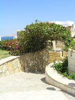 ������� ����