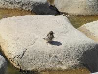 ����������.