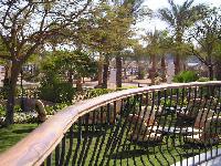 ������ �������