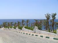 �� ������.