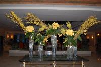 ����� �� �������