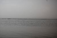 ������ ��������� LTI �������� 1 ��)