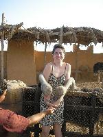 �������