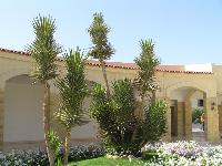 ������-������!