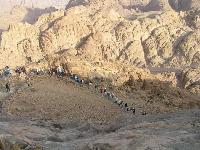 ������ �������.