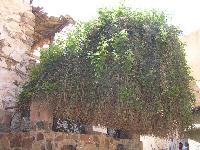 ���������� ������