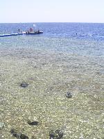 ��� �� ������