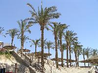 ���� �� ������ �� �����.