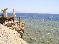 ��� �� �.����� � ����� ����� ������.