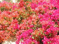 ������� ������.