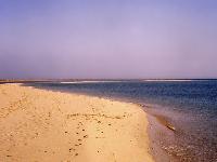 2. �������� ���� ������ ����� Royal Zaafarana