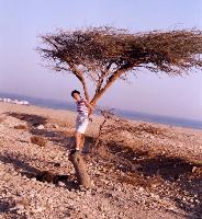 ������ � ������� � ������� ��������! (����� ������� ����� ����� Royal Zaafarana)