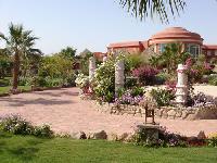 ������� �� �����