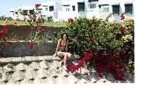 ������ �