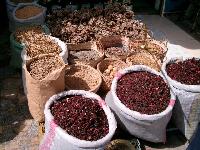 ������ � �������